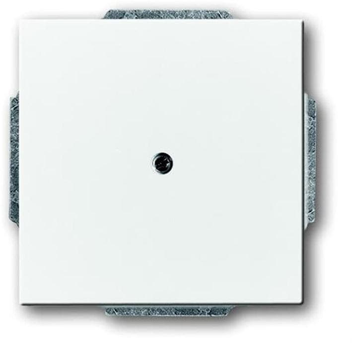 ABB Busch-Jaeger Future/Solo Bedieningselement/Centrale, Bricolage & Construction, Électricité & Câbles, Envoi
