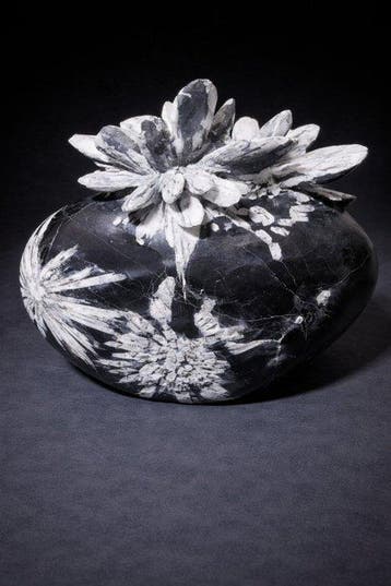 Uitzonderlijke chrysantenbloem-displaysteen voor