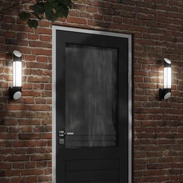 vidaXL Buitenwandlamp roestvrij staal zwart, Verzenden, Nieuw