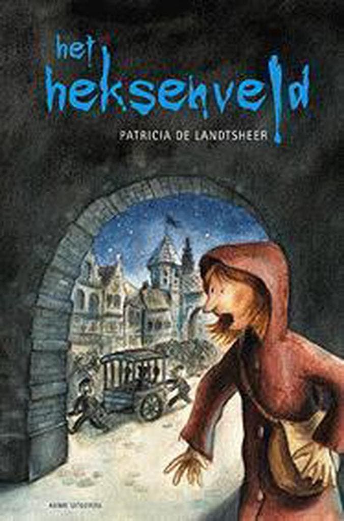 Het heksenveld 9789059320512 P. De Landtsheer, Livres, Littérature, Envoi