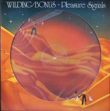 Danny Wilding / Peter Bonas - Pleasure Signals (LP 1978), Verzenden