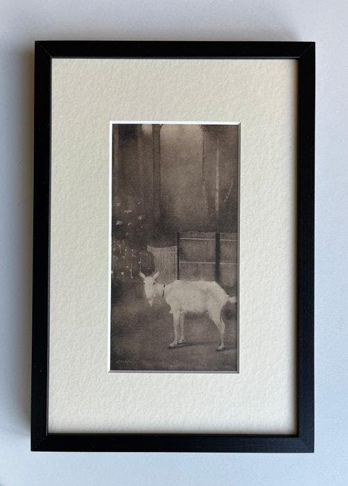 Jan Mankes (1889-1920) - Oude geit, Antiek en Kunst, Antiek | Overige Antiek