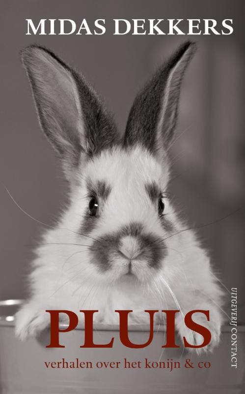 Pluis 9789025436162 Midas Dekkers, Livres, Littérature, Envoi