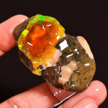 Opaal 23,7 g Natuurlijke Ethiopische Fire Welo Opal ruwe,, Verzamelen