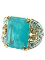 Sans prix de réserve - Bague - 9 carats Argent, Or jaune, Nieuw