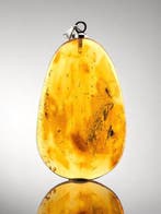 Museumkwaliteit barnsteen – MOSQUITO Fossil – Hanger met