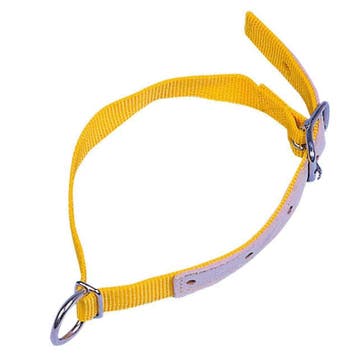 Collier pour moutons - kerbl