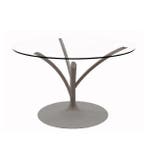 Calligaris - Eettafel - Glas, Metaal - Acacia Table