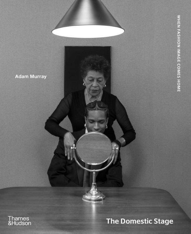 The Domestic Stage 9780500028445 Adam Murray, Livres, Livres Autre, Envoi