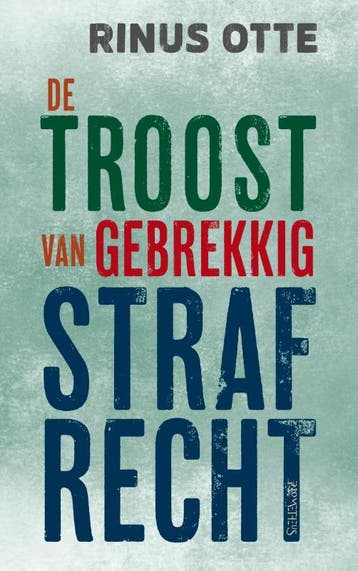 De troost van gebrekkig strafrecht 9789044653250 Rinus Otte, Verzenden, Zo goed als nieuw, Rinus Otte