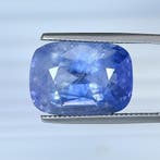 1 pcs Blauw Saffier - 20.30 ct - Lotus Gemology, Nieuw