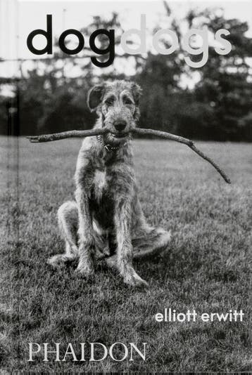 Dogdogs | P G Wodehouse | Nieuw, Boeken, Verzenden, Nieuw, P G Wodehouse