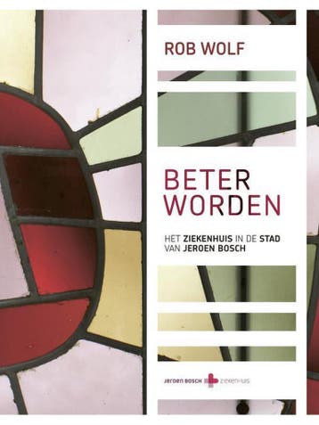 Beter worden 9789491044090 Rob Wolf, Verzenden, Gelezen, Rob Wolf