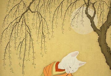 Yanagi shamisen cat - Ana Maia - Zweden (Zonder