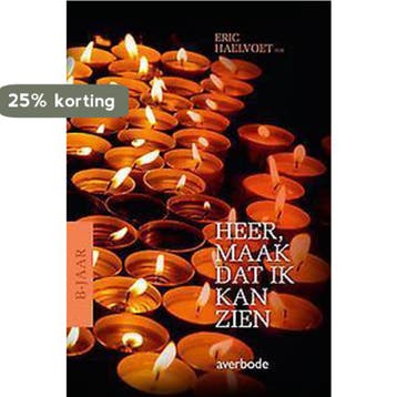 Heer, maak dat ik kan zien 9789031739110 Eric Haelvoet, Verzenden, Zo goed als nieuw, Eric Haelvoet