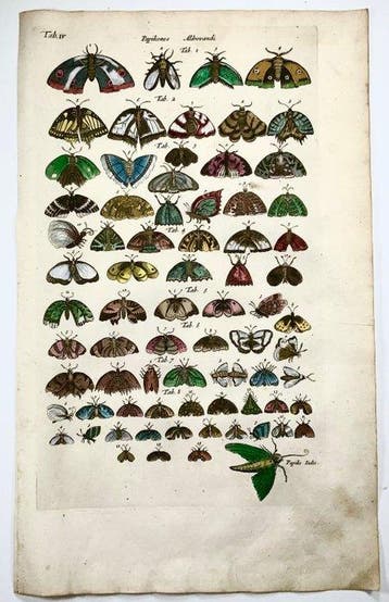 Matthäus Merian (1593-1650) - hand coloured engraving: