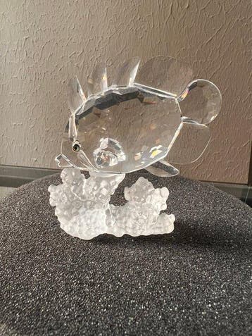 Swarovski - Statuette, Butterfly Fish - on coral - 162888 -