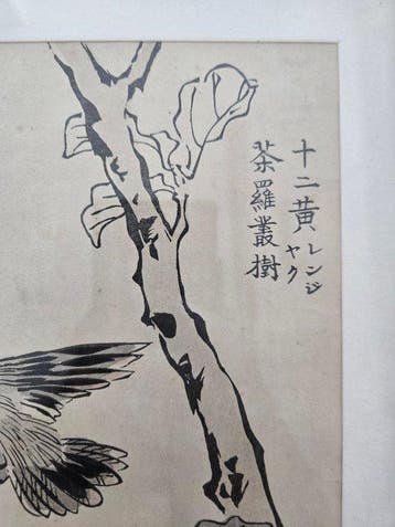 Set of 5 Japanese Woodblock Prints - Kacho-e (Birds and