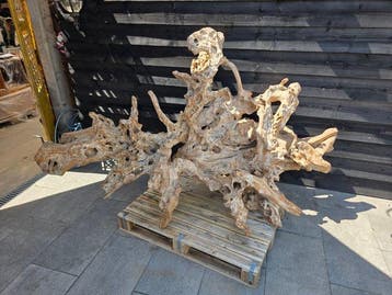 Wanddecoratie - Indonesië - XXL 225x157cm Root Wood