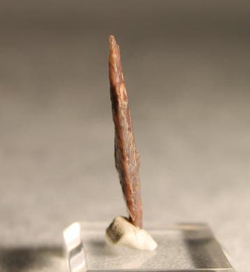 Neolithisch Silex Pijlpunt - 3.6 cm (Zonder minimumprijs)