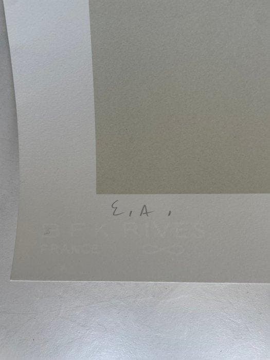 Floch - 1 Zeefdruk - Yves Klein, Livres, BD