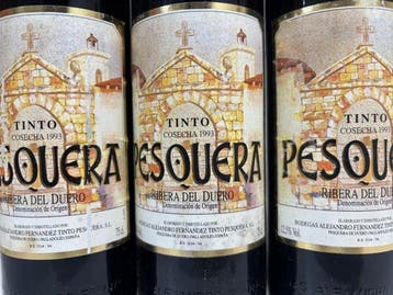 1993 Bodegas Alejandro Fernandez, Tinto Pesquera - Ribera, Verzamelen, Nieuw
