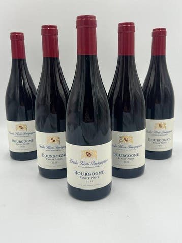 2021 Charles Henri Bourguignon - Bourgogne - 6 Flessen (0.75, Nieuw