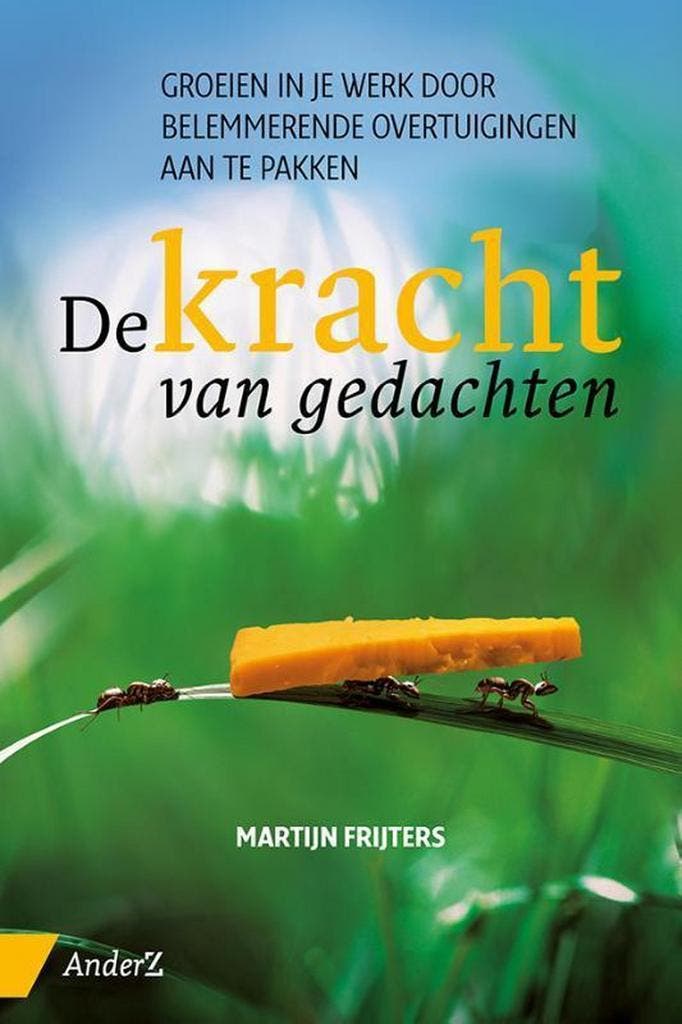 De kracht van gedachten 9789462960770 Martijn Frijters, Boeken, Psychologie, Zo goed als nieuw, Verzenden