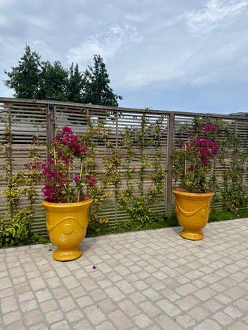 Anduze - Pot de fleurs (2) - Terre cuite