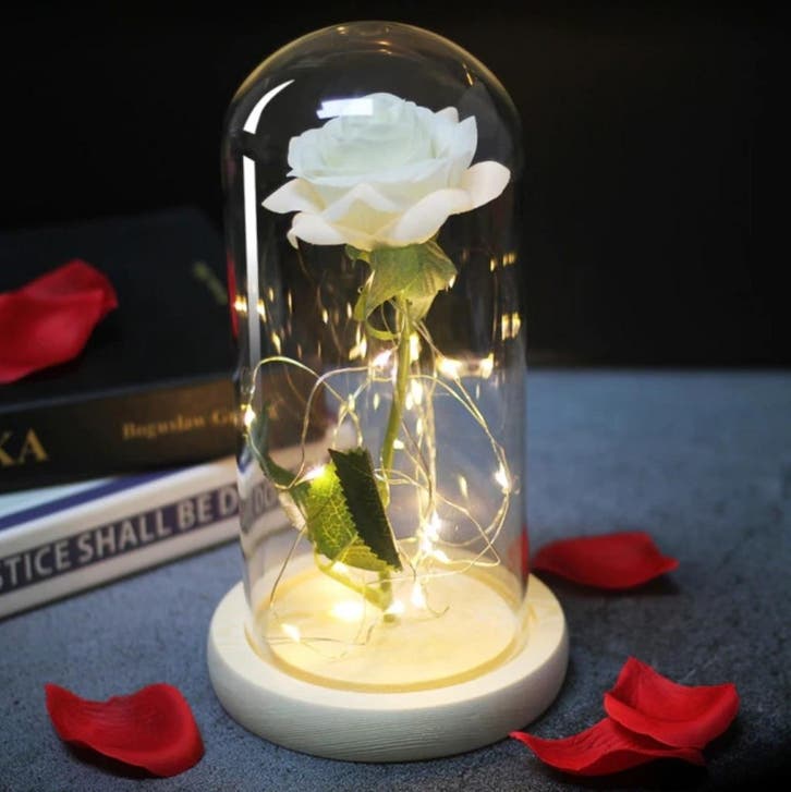 Kunst Roos in Glazen Stolp met Verlichting - Zijden Rozen, Huis en Inrichting, Woonaccessoires | Kunstplanten en Kunstbloemen