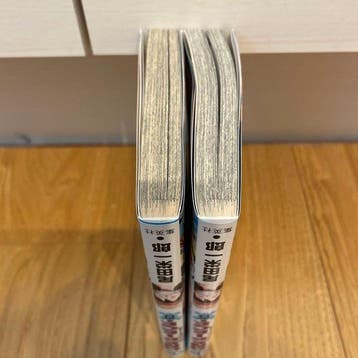 One Piece #100 - Japan edition + Obi & Flyers - 2 Comic - EO, Boeken, Nieuw
