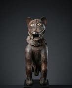 Chien Vili Nkisi - DR Congo