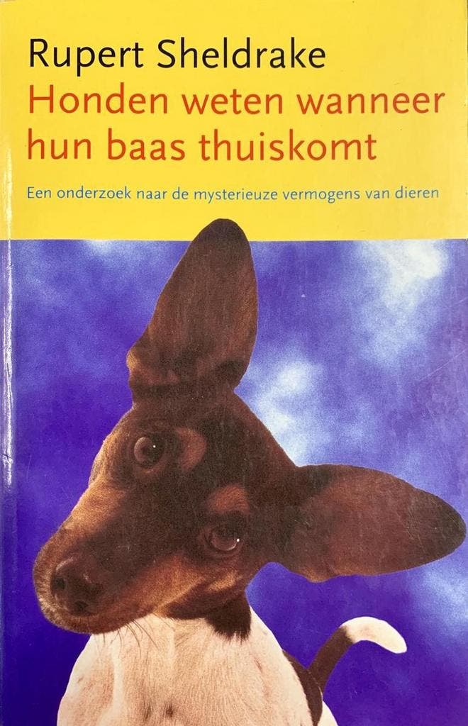 Honden weten wanneer hun baas thuiskomt 9789021594057, Boeken, Hobby en Vrije tijd, Gelezen, Verzenden