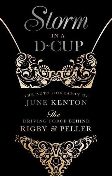 Storm in a D Cup 9781527202047 June Kenton, Boeken, Verzenden, Zo goed als nieuw, June Kenton