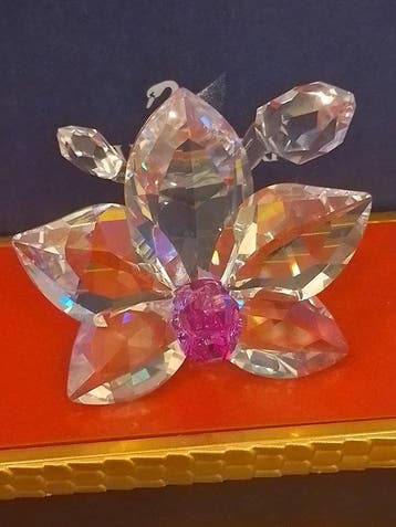 Swarovski - Beeldje - Orchid Blossom - 864464 - Kristal