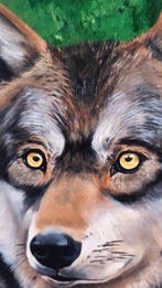 Pomella - Wolf – Contemporary Wildlife Art