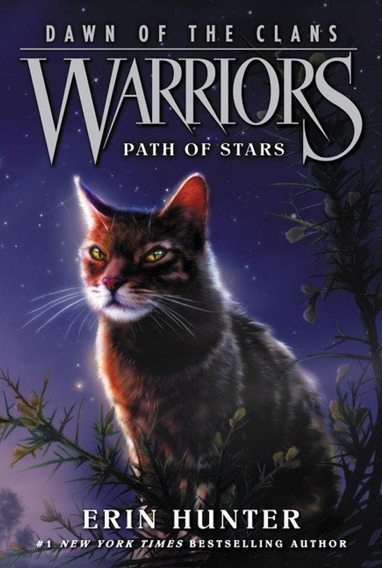 Warriors 9780062410047 Erin Hunter, Boeken, Taal | Engels, Gelezen, Verzenden