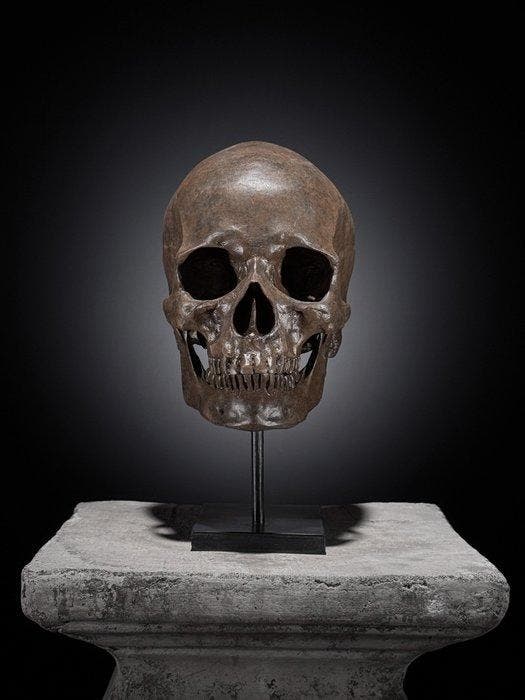 GEEN minimumprijs - Menselijke schedelreplika op maat, Antiek en Kunst, Curiosa en Brocante