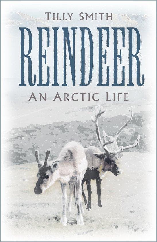Reindeer 9781803990651 Tilly Smith, Boeken, Taal | Engels, Zo goed als nieuw, Verzenden