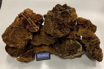 Maple Leaf stone 10-20cm aquarium decoratie stenen, Ophalen of Verzenden, Plant(en), Steen of Hout