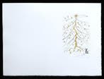 Salvador Dali (1904-1989) - Star Of Bethlehem, Antiek en Kunst