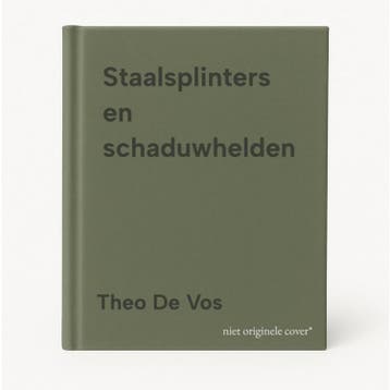 Staalsplinters en schaduwhelden 9789492934307 Theo De Vos, Verzenden, Zo goed als nieuw, Theo De Vos