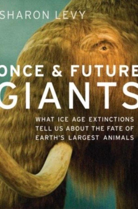 Once & Future Giants 9780195370126 Sharon Levy, Livres, Langue | Anglais, Envoi