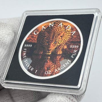 Canada. 5 Dollars 2026 – Mirror of the Wild: The Leopard’s