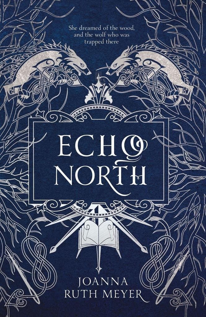 Echo North 9781782693550 Joanna Ruth Meyer, Livres, Langue | Anglais, Envoi