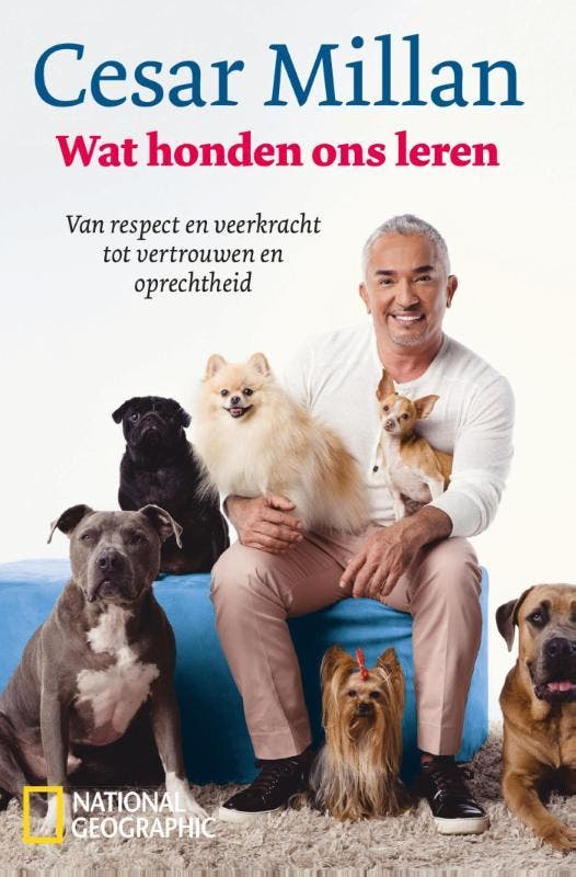 Wat honden ons leren 9789059567429 Cesar Millan, Boeken, Hobby en Vrije tijd, Gelezen, Verzenden