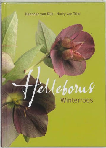 Helleborus 9789058561541 Hanneke van Dijk, Verzenden, Hanneke van Dijk