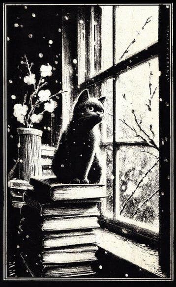 Æ (XX-XXI) - (Set of 3) Jiji Collection (2025) - Mixed, Nieuw