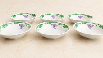Villeroy & Boch - AMAPOLA - Tafelservies voor 6 (6) -