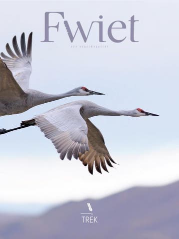 Fwiet - een vogelmazine / Fwiet / 2 9789464337112, Boeken, Verzenden, Zo goed als nieuw